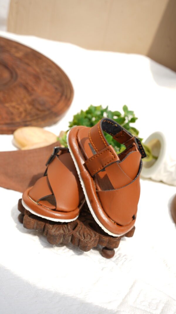 Hand Embroidered Brown Kurta Shalwar With Shoes - view 5