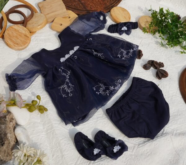Embroidered Navy Blue Organza Frock Set - view 11