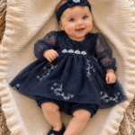 Embroidered Navy Blue Organza Frock Set