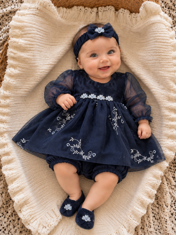 Embroidered Navy Blue Organza Frock Set