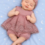 Embroidered Organza Frock Set